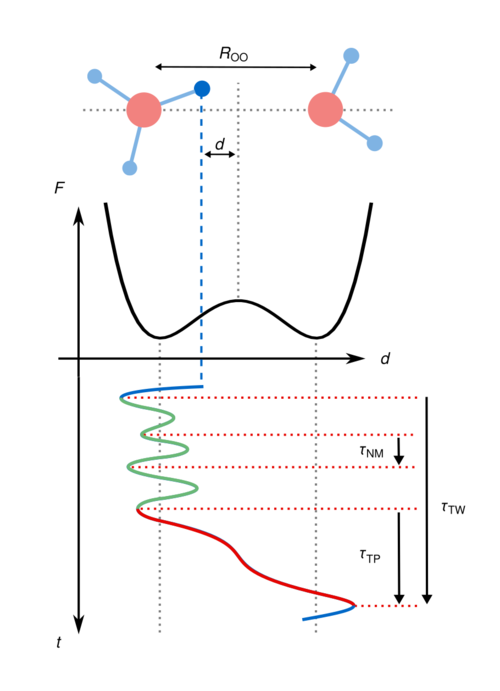 Schematic trajectory of an excess proton