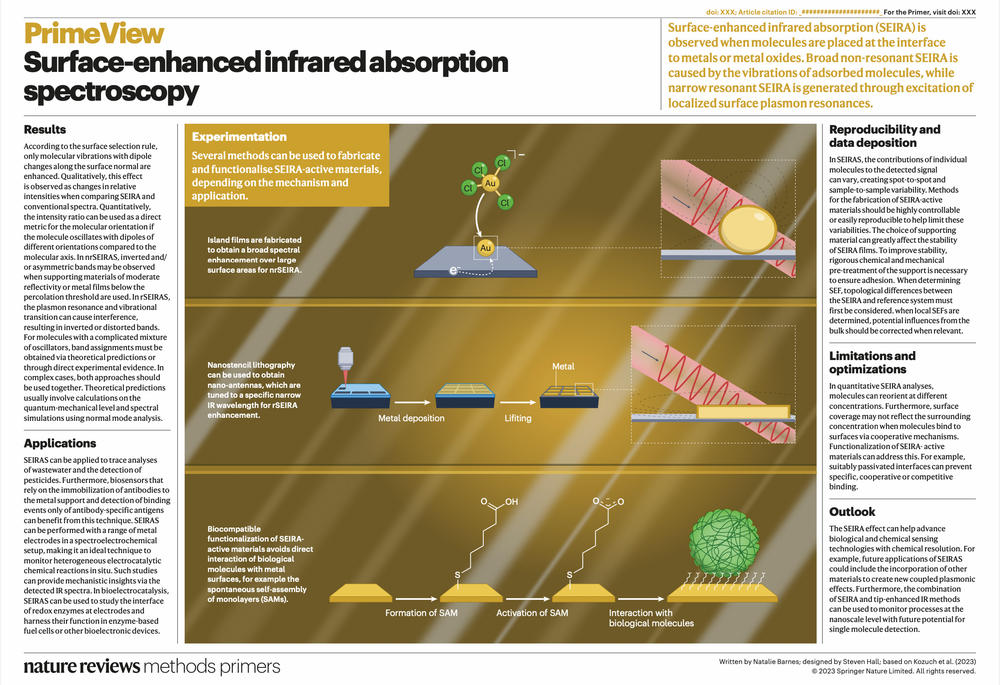 The advertising poster written by Natalie Barns and designed by Steven Hall for the SFB publication in Nature Reviews Methods Primers.