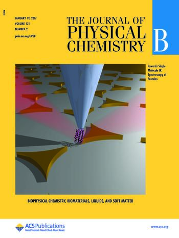 Cover page of J. Phys. Chem. B (Jan. 2017) featuring the article by Kottke, Lórenz-Fonfría, and Heberle