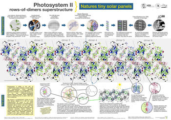 Award-Winning Poster by Martin Bommer (project A5): Superstructure of Photosystem II published in Structure (Nov. 2014)